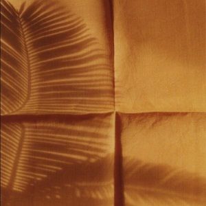 American Eagle jeans for chloe!